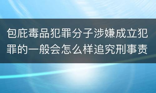 包庇毒品犯罪分子涉嫌成立犯罪的一般会怎么样追究刑事责任