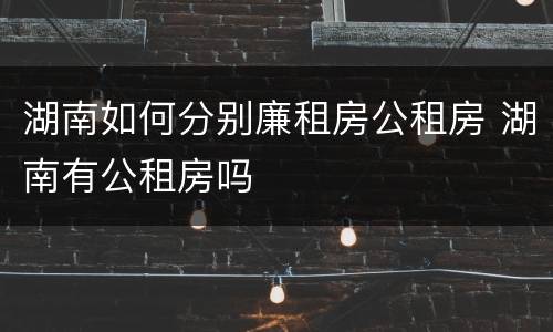 湖南如何分别廉租房公租房 湖南有公租房吗