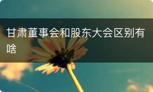 甘肃董事会和股东大会区别有啥