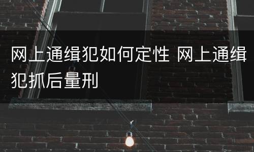 网上通缉犯如何定性 网上通缉犯抓后量刑