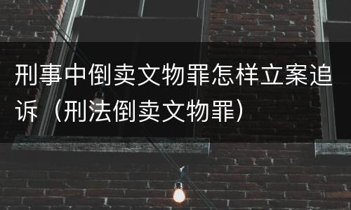 刑事中倒卖文物罪怎样立案追诉（刑法倒卖文物罪）