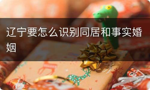 辽宁要怎么识别同居和事实婚姻
