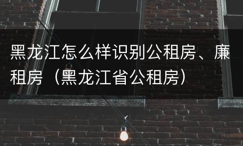 黑龙江怎么样识别公租房、廉租房（黑龙江省公租房）