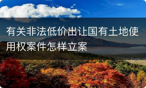 有关非法低价出让国有土地使用权案件怎样立案