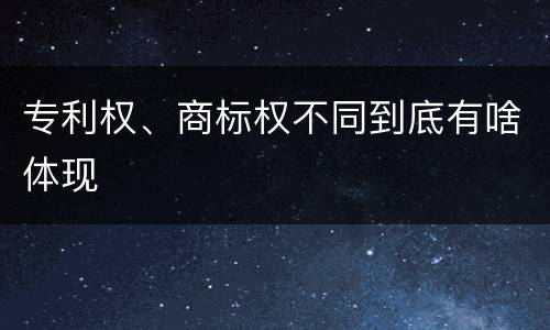 专利权、商标权不同到底有啥体现