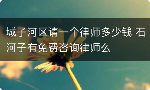 城子河区请一个律师多少钱 石河子有免费咨询律师么