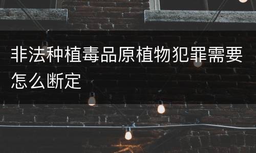 非法种植毒品原植物犯罪需要怎么断定