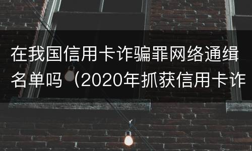在我国信用卡诈骗罪网络通缉名单吗（2020年抓获信用卡诈骗）