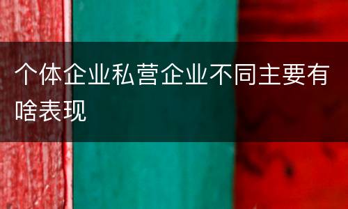 个体企业私营企业不同主要有啥表现