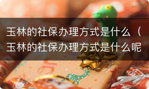 玉林的社保办理方式是什么（玉林的社保办理方式是什么呢）