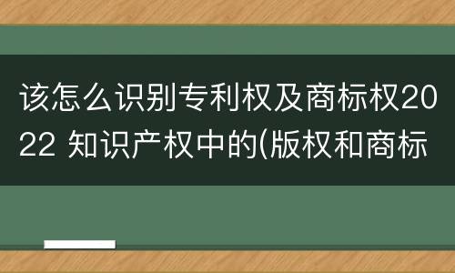 该怎么识别专利权及商标权2022 知识产权中的(版权和商标权与标准