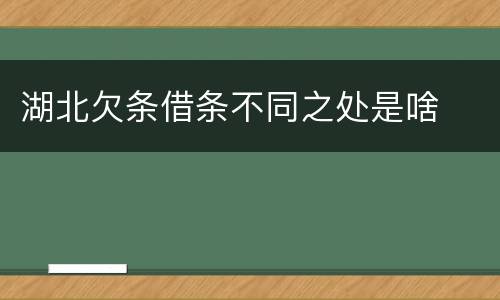 湖北欠条借条不同之处是啥