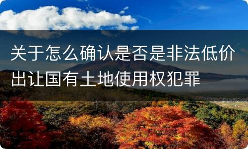 关于怎么确认是否是非法低价出让国有土地使用权犯罪