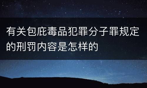 有关包庇毒品犯罪分子罪规定的刑罚内容是怎样的