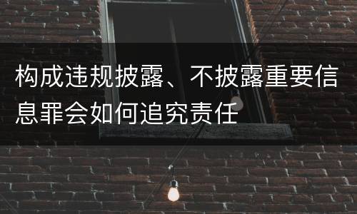 构成违规披露、不披露重要信息罪会如何追究责任