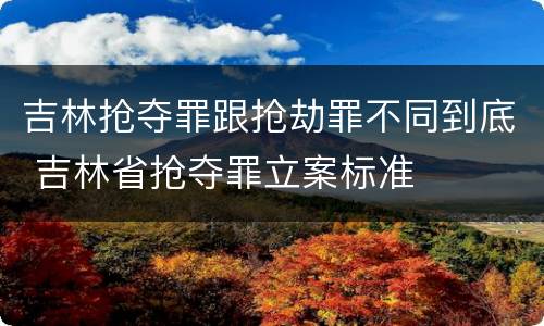 吉林抢夺罪跟抢劫罪不同到底 吉林省抢夺罪立案标准