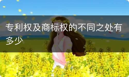 专利权及商标权的不同之处有多少