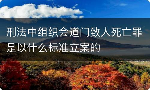刑法中组织会道门致人死亡罪是以什么标准立案的
