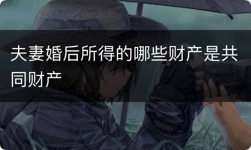 夫妻婚后所得的哪些财产是共同财产