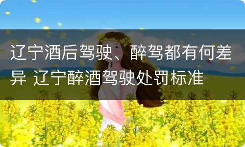 辽宁酒后驾驶、醉驾都有何差异 辽宁醉酒驾驶处罚标准