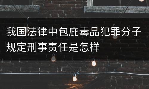 我国法律中包庇毒品犯罪分子规定刑事责任是怎样