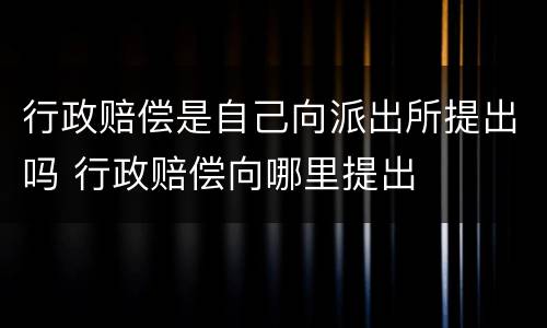 行政赔偿是自己向派出所提出吗 行政赔偿向哪里提出