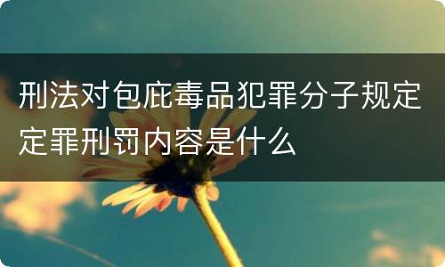 刑法对包庇毒品犯罪分子规定定罪刑罚内容是什么