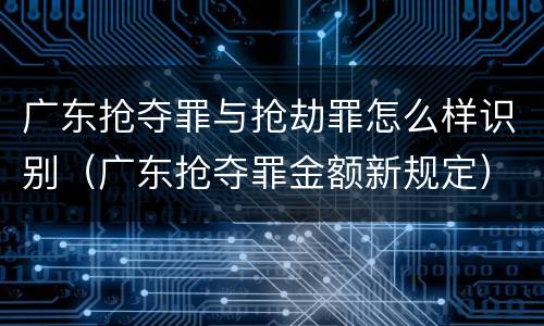 广东抢夺罪与抢劫罪怎么样识别（广东抢夺罪金额新规定）