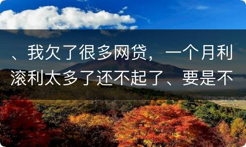 、我欠了很多网贷，一个月利滚利太多了还不起了、要是不还会有什么后果