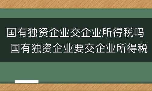 国有独资企业交企业所得税吗 国有独资企业要交企业所得税吗
