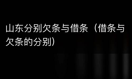 山东分别欠条与借条（借条与欠条的分别）