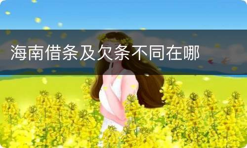 海南借条及欠条不同在哪