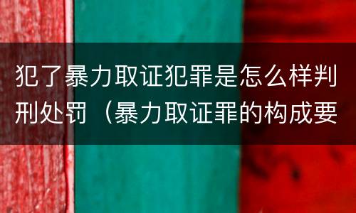 犯了暴力取证犯罪是怎么样判刑处罚（暴力取证罪的构成要件）
