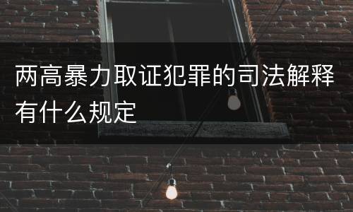 两高暴力取证犯罪的司法解释有什么规定