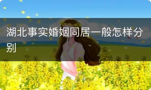 湖北事实婚姻同居一般怎样分别