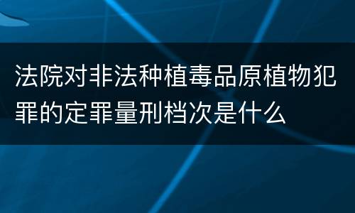 法院对非法种植毒品原植物犯罪的定罪量刑档次是什么
