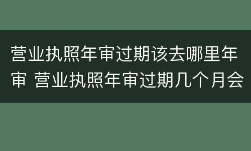 营业执照年审过期该去哪里年审 营业执照年审过期几个月会处罚