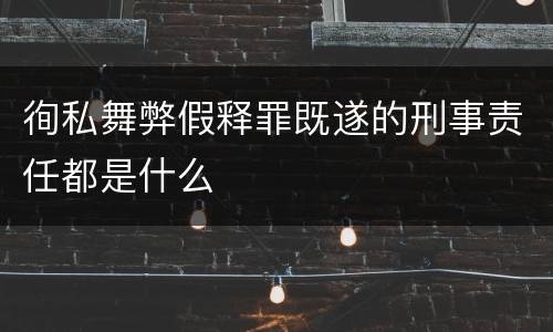 徇私舞弊假释罪既遂的刑事责任都是什么