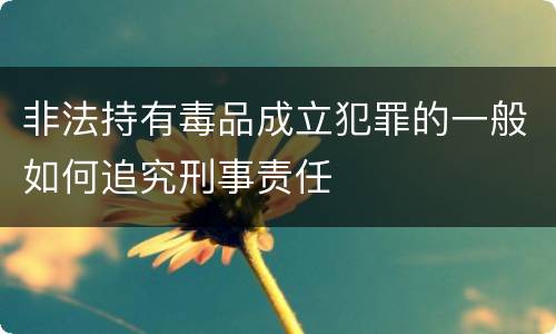非法持有毒品成立犯罪的一般如何追究刑事责任