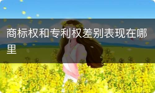 商标权和专利权差别表现在哪里