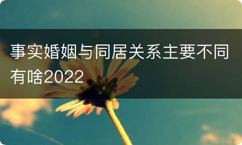 事实婚姻与同居关系主要不同有啥2022