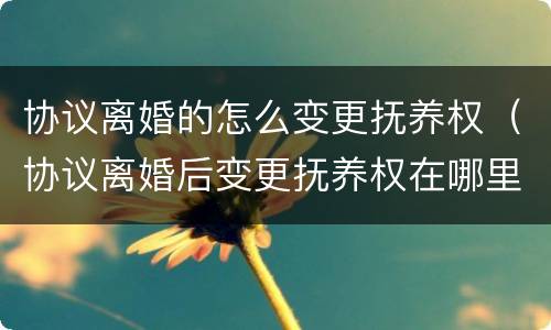 协议离婚的怎么变更抚养权（协议离婚后变更抚养权在哪里）