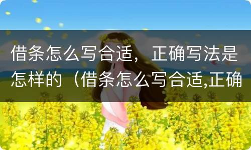 借条怎么写合适，正确写法是怎样的（借条怎么写合适,正确写法是怎样的格式）