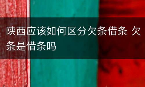 陕西应该如何区分欠条借条 欠条是借条吗