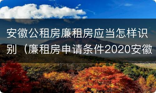 安徽公租房廉租房应当怎样识别（廉租房申请条件2020安徽）