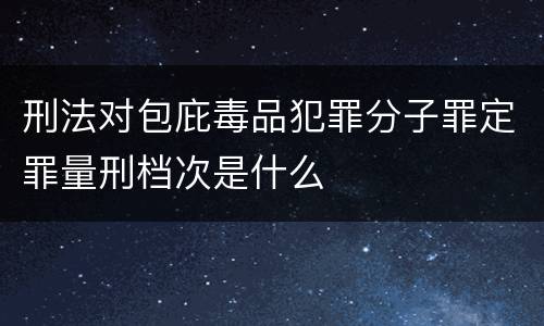 刑法对包庇毒品犯罪分子罪定罪量刑档次是什么