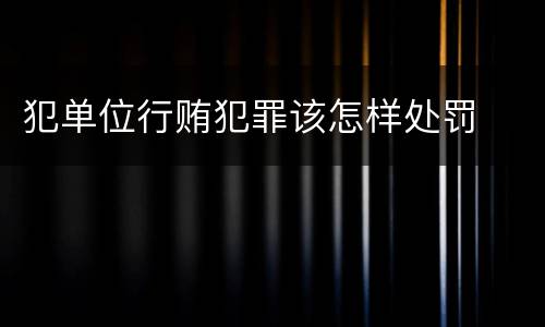犯单位行贿犯罪该怎样处罚