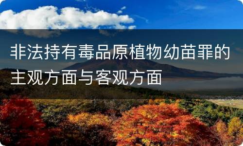 非法持有毒品原植物幼苗罪的主观方面与客观方面