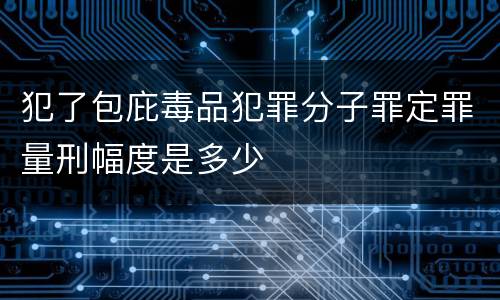 犯了包庇毒品犯罪分子罪定罪量刑幅度是多少