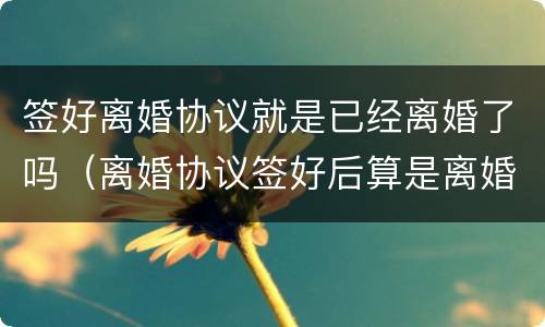 签好离婚协议就是已经离婚了吗（离婚协议签好后算是离婚了吗?）